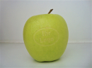 Apfel gelasert - grn ab 1 Stck