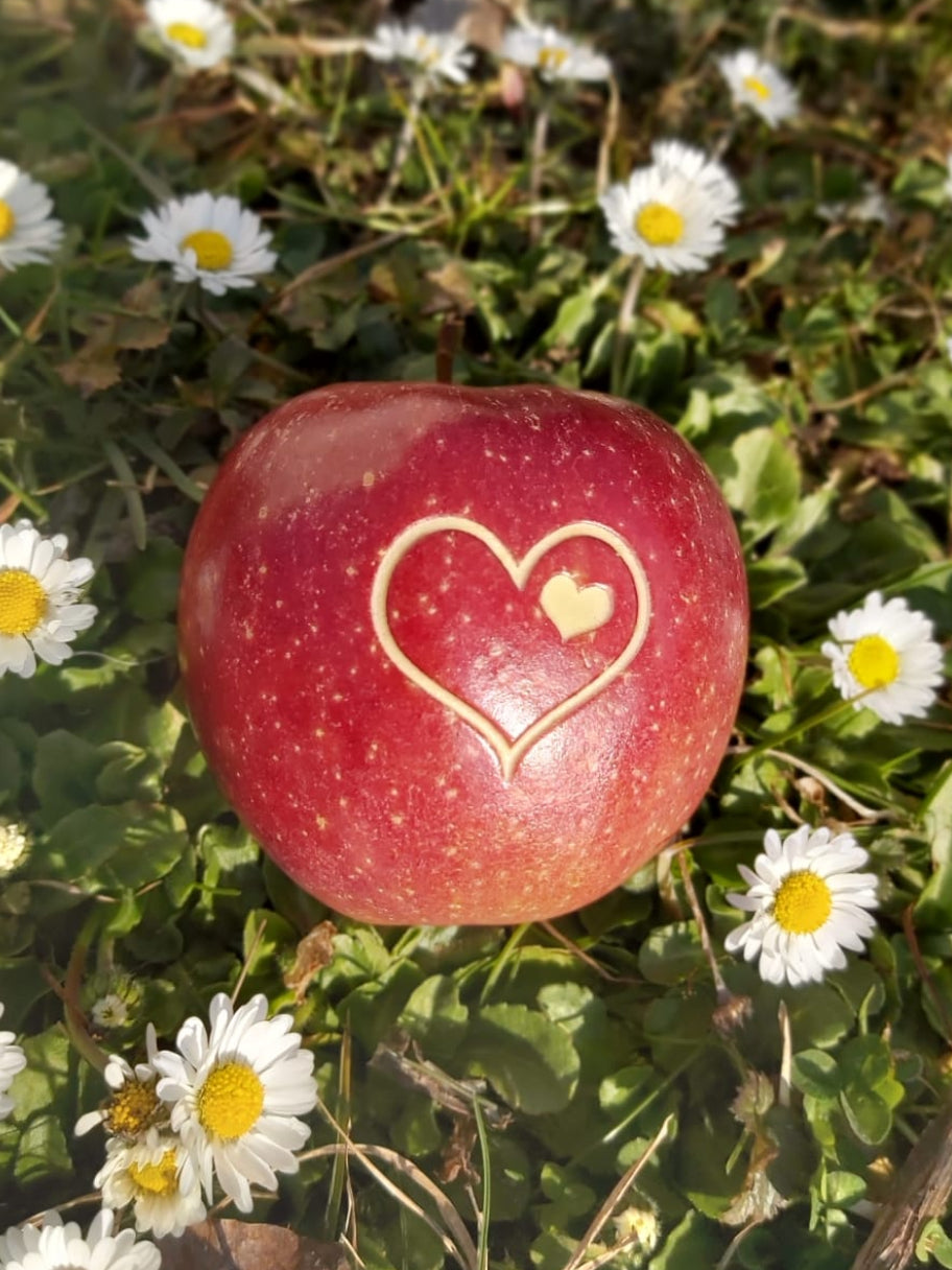 Apfel mit Gravur - Laserapfel - Logoapfel