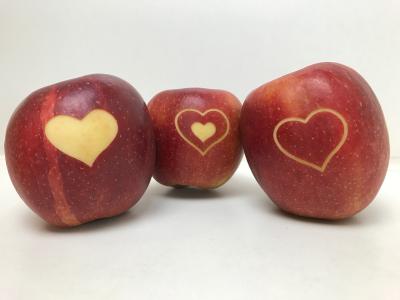 50 Äpfel mit Gravur - Laserapfel - Logoapfel