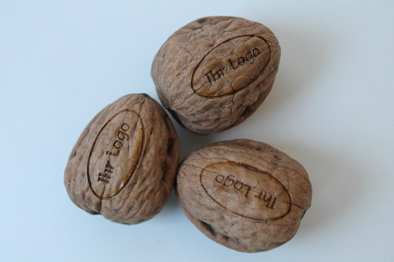 3 Walnuss mit Gravur - Logo Walnuss - Walnuss gelasert