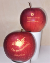 Apfel gelaser ROT - ab 1 Stk.